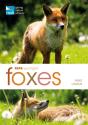 Rspb Spotlight: Foxes - Preview