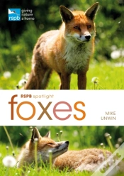 Capa do artigo Rspb Spotlight: Foxes