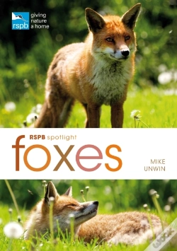 Capa do artigo Rspb Spotlight: Foxes