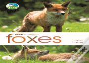 Rspb Spotlight: Foxes