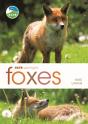 Rspb Spotlight: Foxes - Preview
