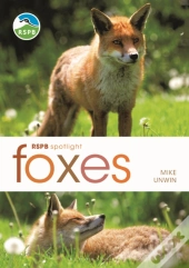 Rspb Spotlight: Foxes