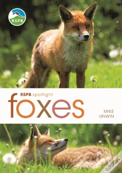 Capa do artigo Rspb Spotlight: Foxes