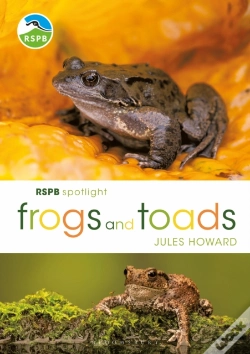 Capa do artigo Rspb Spotlight Frogs And Toads