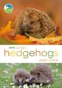 Rspb Spotlight Hedgehogs - Preview
