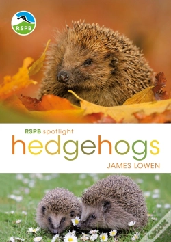 Capa do artigo Rspb Spotlight Hedgehogs