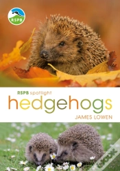 Capa do artigo Rspb Spotlight Hedgehogs