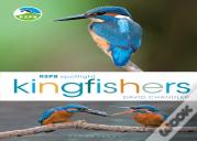 Rspb Spotlight Kingfishers