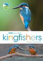 Rspb Spotlight Kingfishers - Preview