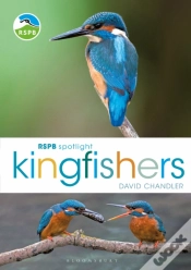 Capa do artigo Rspb Spotlight Kingfishers