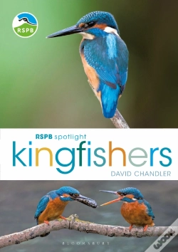Capa do artigo Rspb Spotlight Kingfishers
