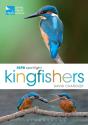 Rspb Spotlight Kingfishers - Preview