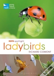 Capa do artigo Rspb Spotlight Ladybirds