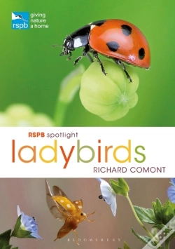 Capa do artigo Rspb Spotlight Ladybirds