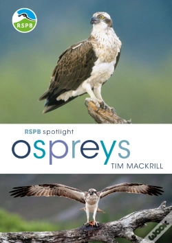 Capa do artigo Rspb Spotlight Ospreys