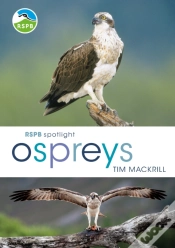 Capa do artigo Rspb Spotlight Ospreys
