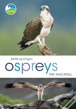 Capa do artigo Rspb Spotlight Ospreys