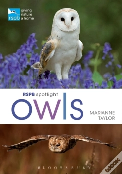 Capa do artigo Rspb Spotlight Owls