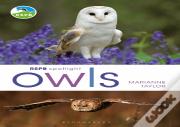 Rspb Spotlight Owls