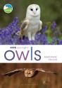 Rspb Spotlight Owls - Preview