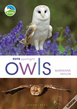 Capa do artigo Rspb Spotlight Owls