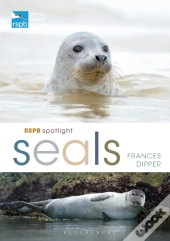 Rspb Spotlight Seals