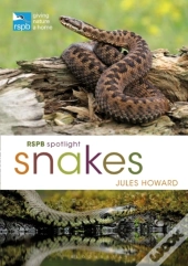 Rspb Spotlight Snakes