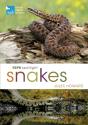 Rspb Spotlight Snakes - Preview