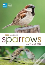 Capa do artigo Rspb Spotlight Sparrows
