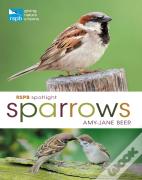 Rspb Spotlight Sparrows