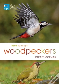 Capa do artigo Rspb Spotlight Woodpeckers