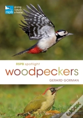 Rspb Spotlight Woodpeckers
