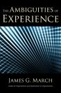 Rt Ambiguities Of Experience Z - Preview