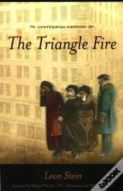 Capa do artigo Rt Triangle Fire Z