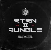 Capa do artigo RTRN II JUNGLE - Vinil