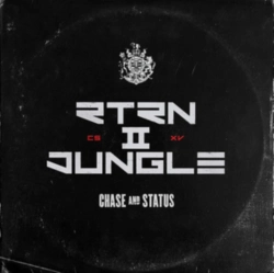 Capa do artigo RTRN II JUNGLE - Vinil