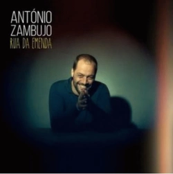 Capa do artigo Rua da Emenda - Vinil