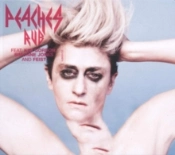 Capa do artigo Rub - Vinil