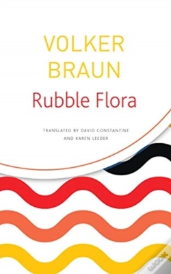 Capa do artigo Rubble Flora