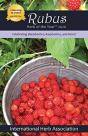Rubus - Preview