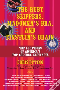 Capa do artigo Ruby Slippers, Madonna'S Bra, And Einstein'S Brain