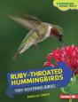 Ruby-Throated Hummingbirds - Preview