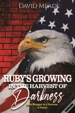 Capa do artigo Ruby'S