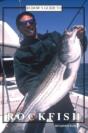 Rudow'S Guide To Rockfish - Preview