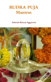 Capa do artigo Rudra Puja Mantras
