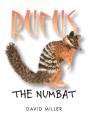 Rufus The Numbat - Preview