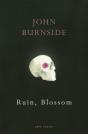 Ruin, Blossom - Preview
