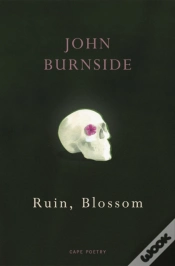 Capa do artigo Ruin, Blossom