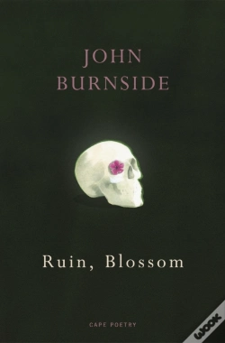 Capa do artigo Ruin, Blossom