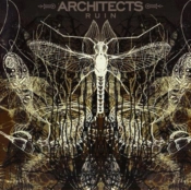 Capa do artigo Ruin - CD